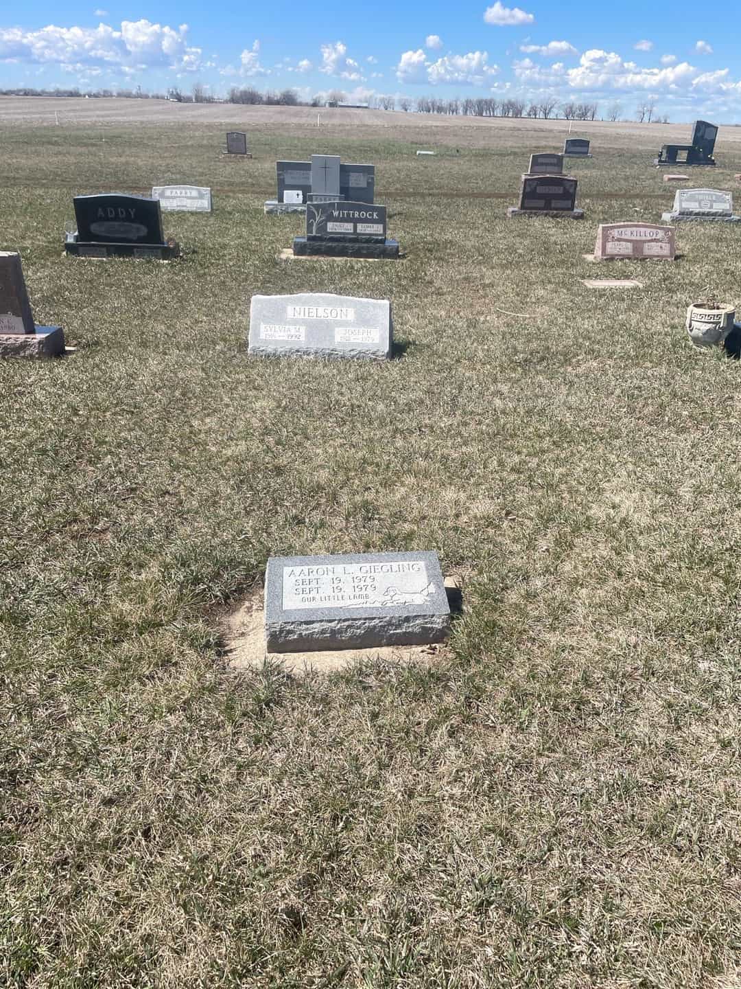 Aaron L. Giegling's grave. Photo 2