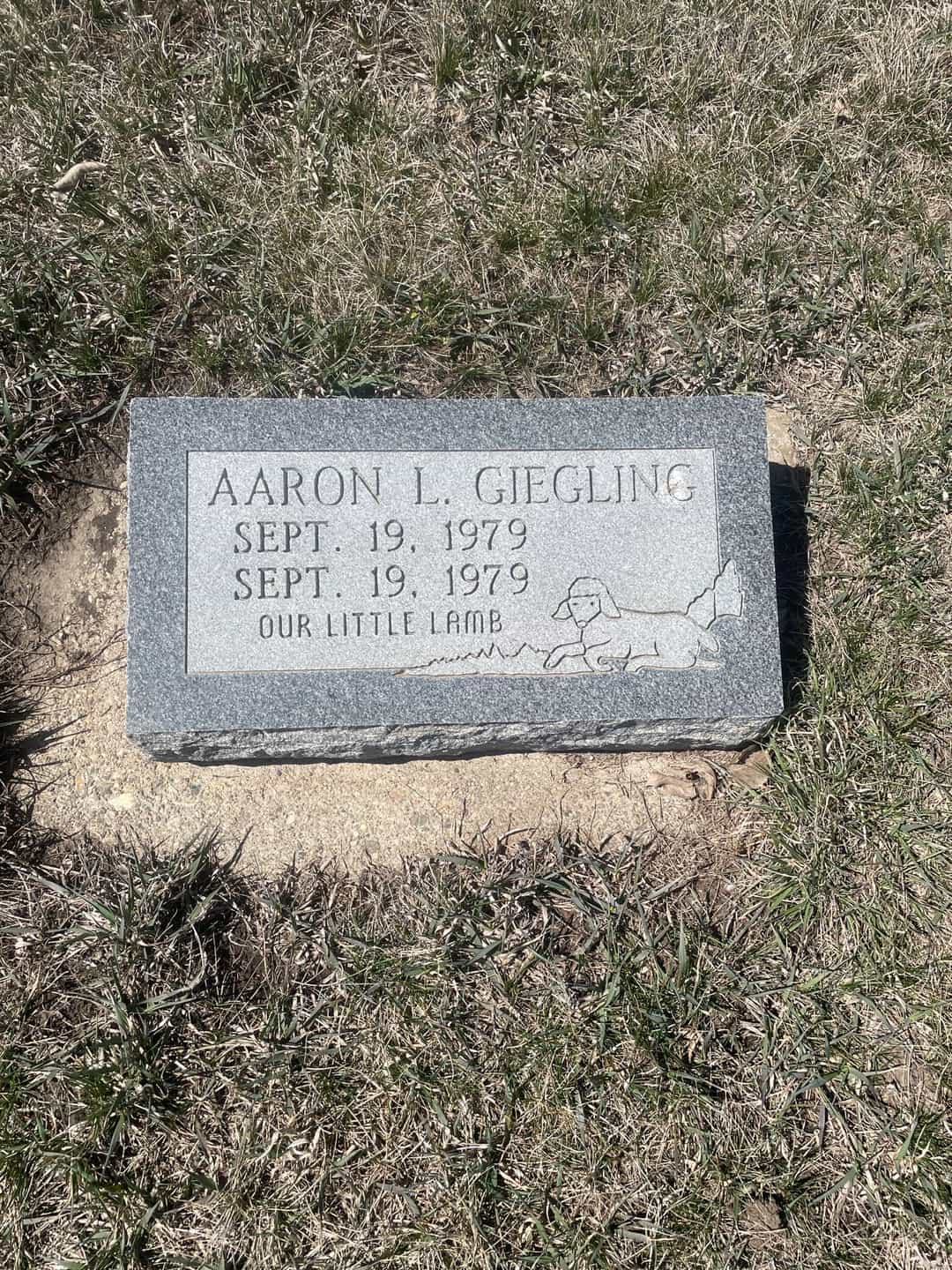 Aaron L. Giegling's grave. Photo 3