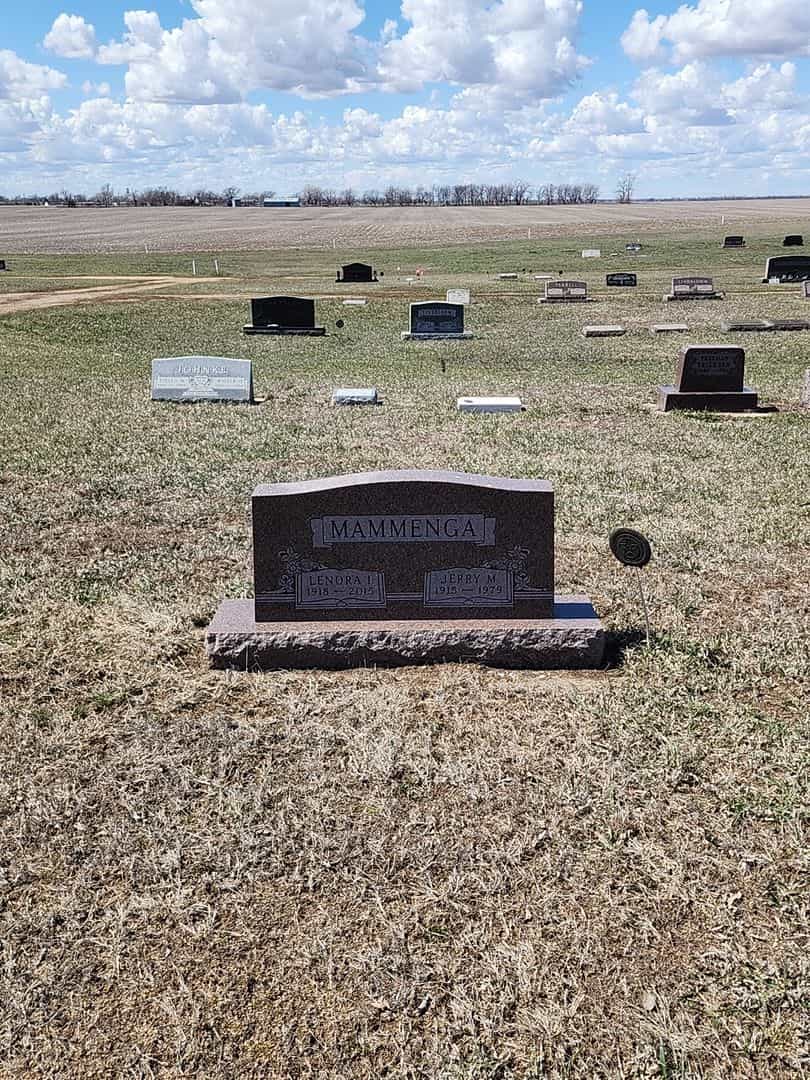 Jerry M. Mammenga's grave. Photo 2