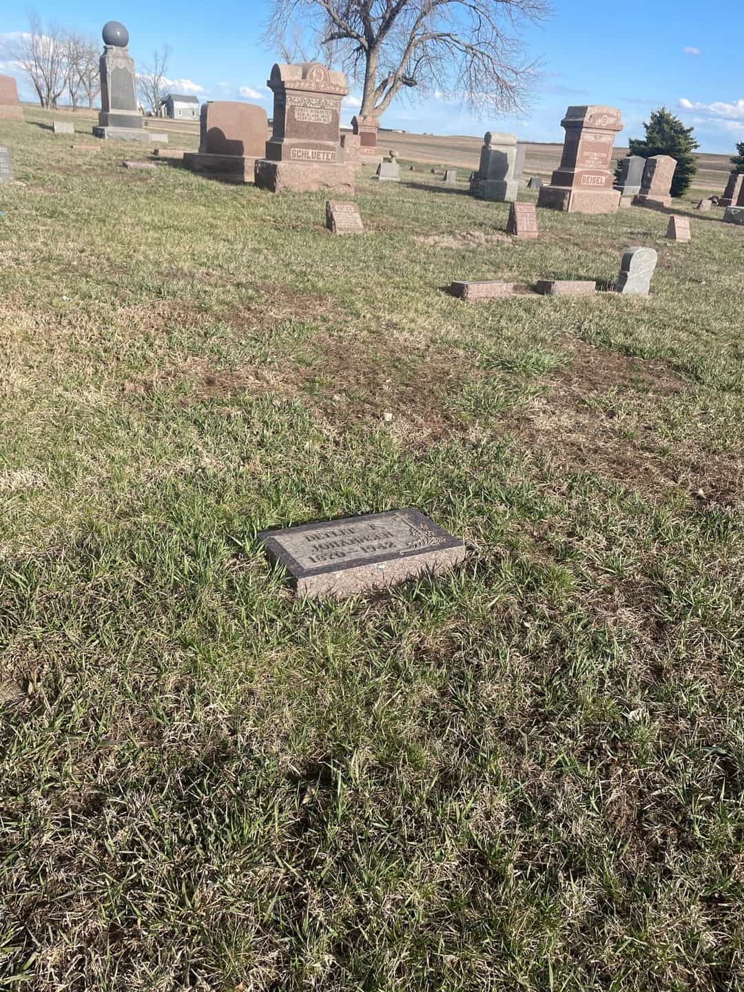 Detlef F. Johannsen Junior's grave. Photo 2
