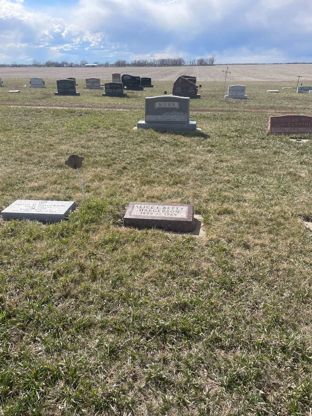 Alice E. "Betty" Halgerson's grave. Photo 2