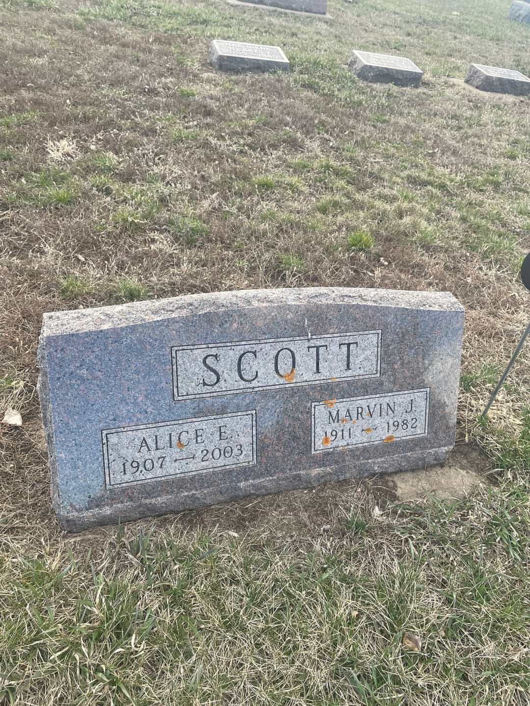 Alice E. Walsh Scott's grave. Photo 3