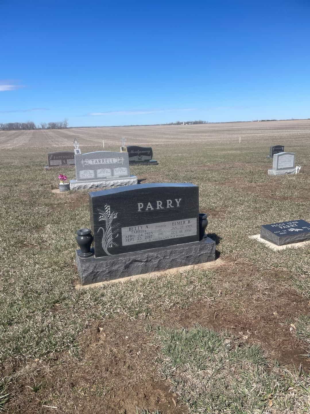 Elmer R. Parry's grave. Photo 2