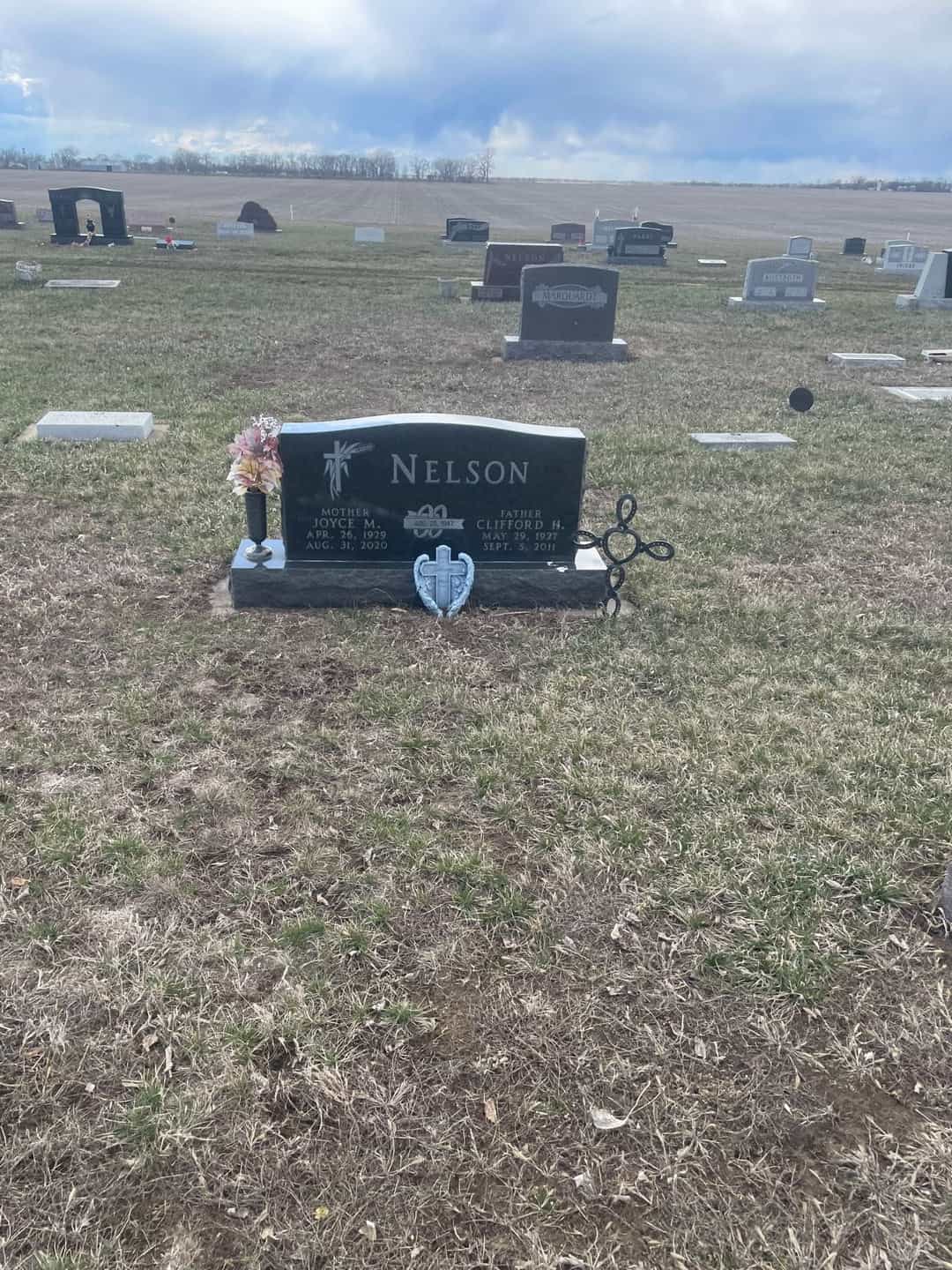 Joyce M. Nelson's grave. Photo 2