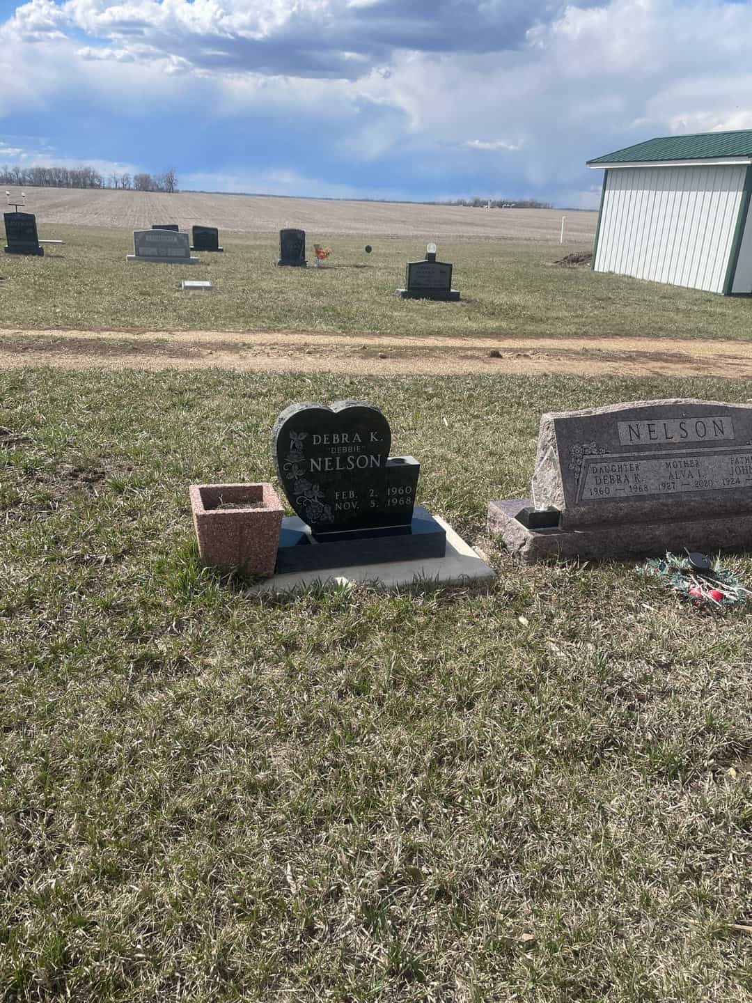 Debra K. "Debbie" Nelson's grave. Photo 2