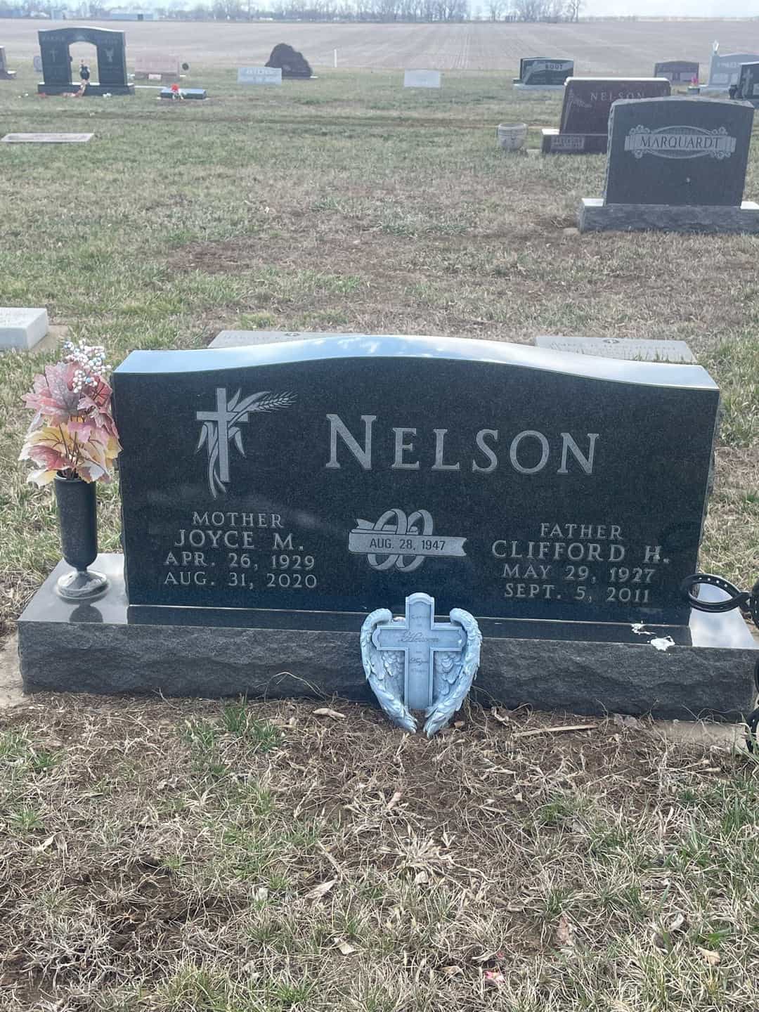 Joyce M. Nelson's grave. Photo 1