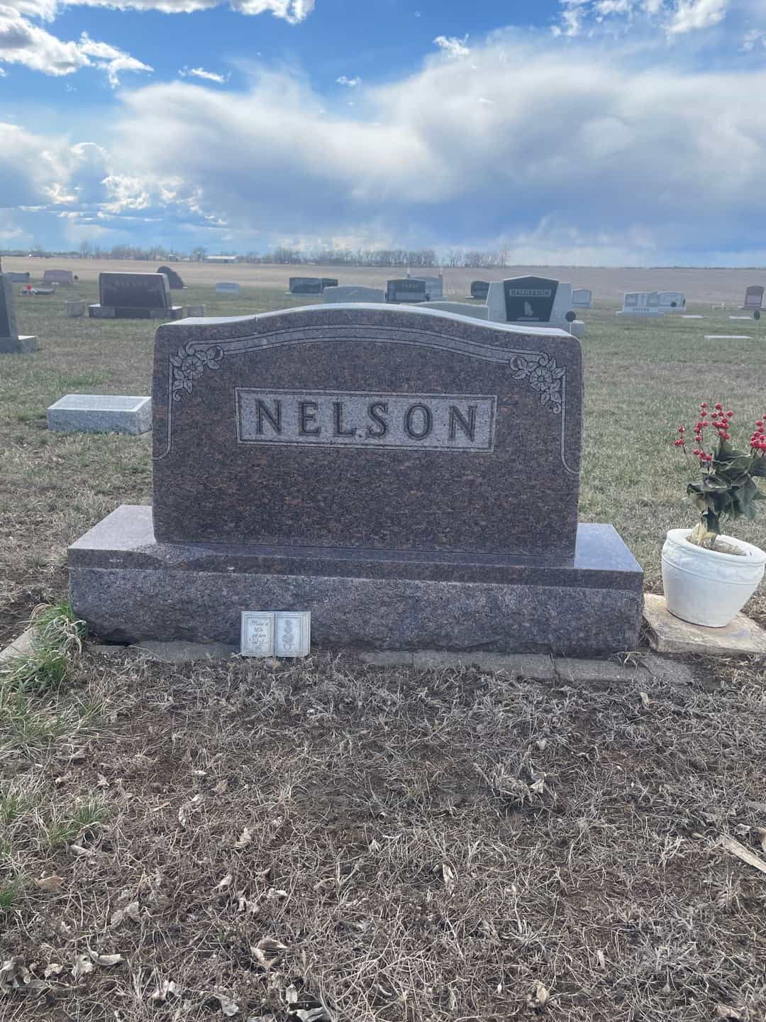 Fred J. Nelson's grave. Photo 1