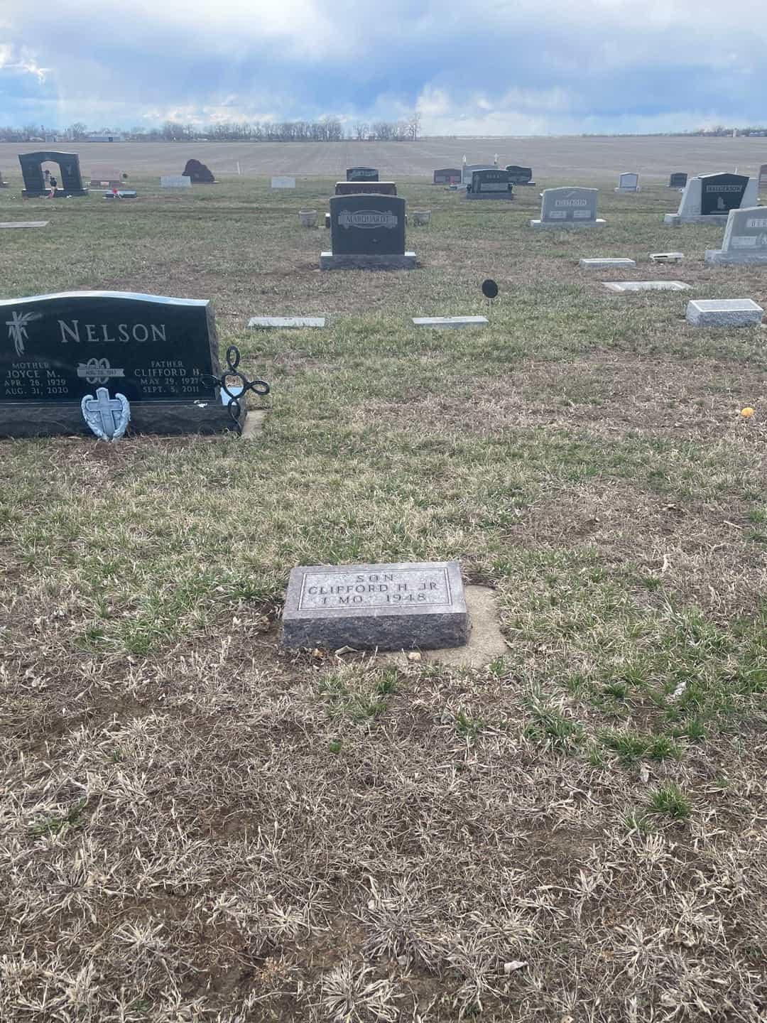 Clifford H. Nelson Junior's grave. Photo 2