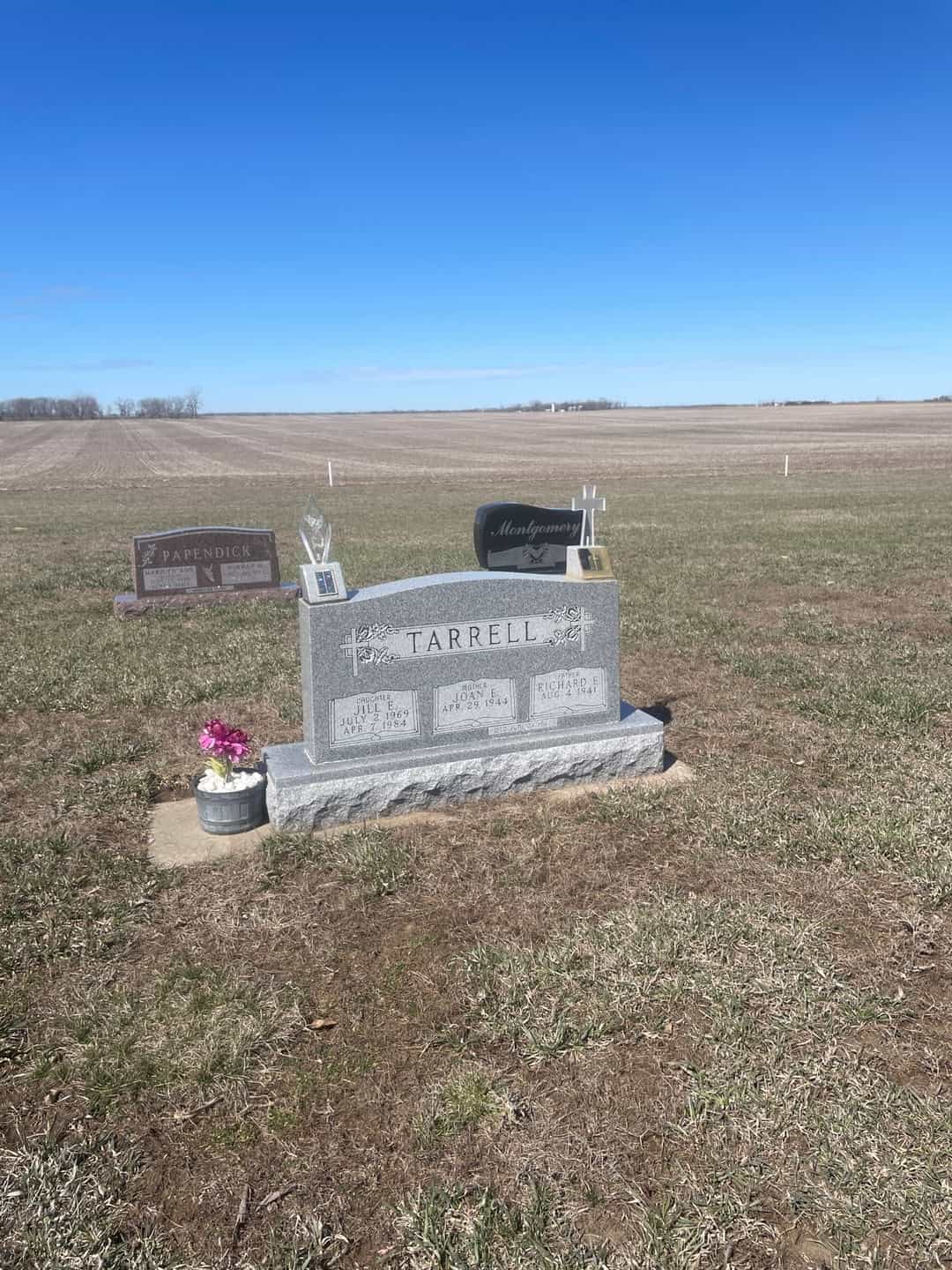 Jill Ellen Tarrell's grave. Photo 2