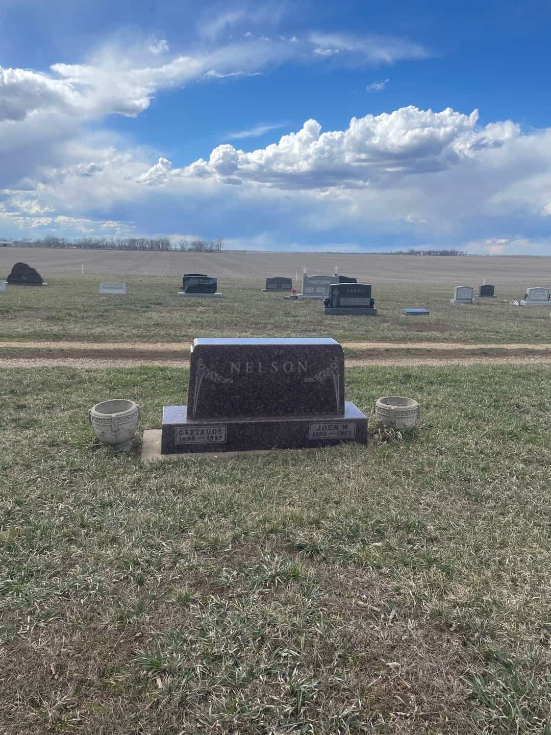 John W. Nelson's grave. Photo 2