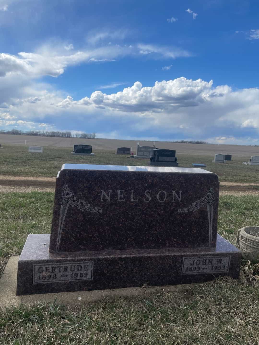 John W. Nelson's grave. Photo 1