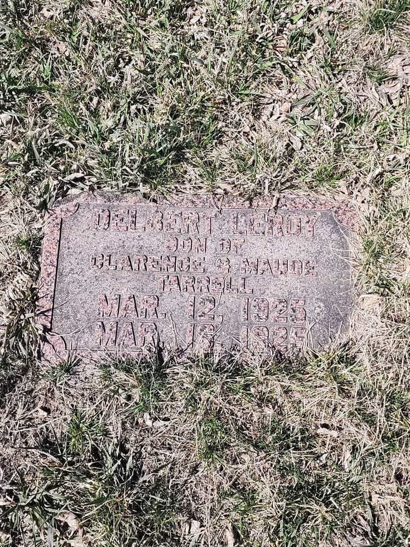 Delbert Leroy Tarrell's grave. Photo 1