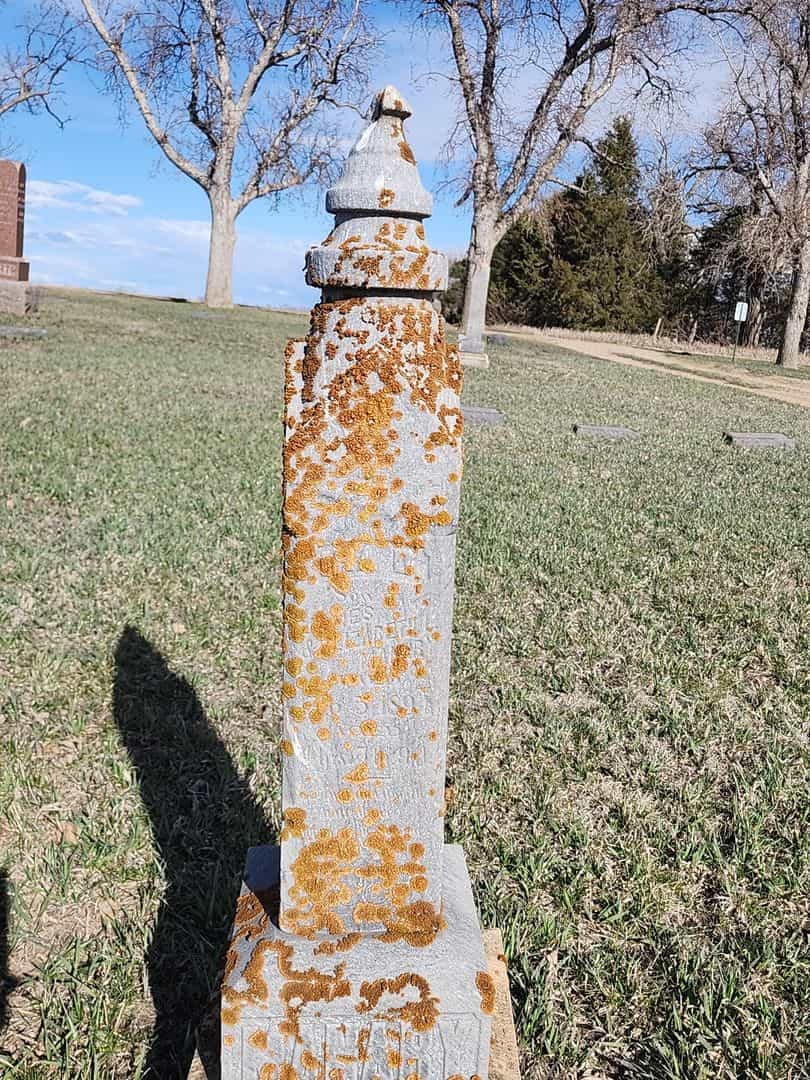 Ira D. Manary's grave. Photo 1