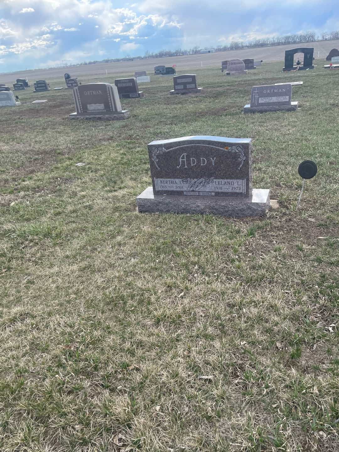 Levi Andrew Addy's grave. Photo 2