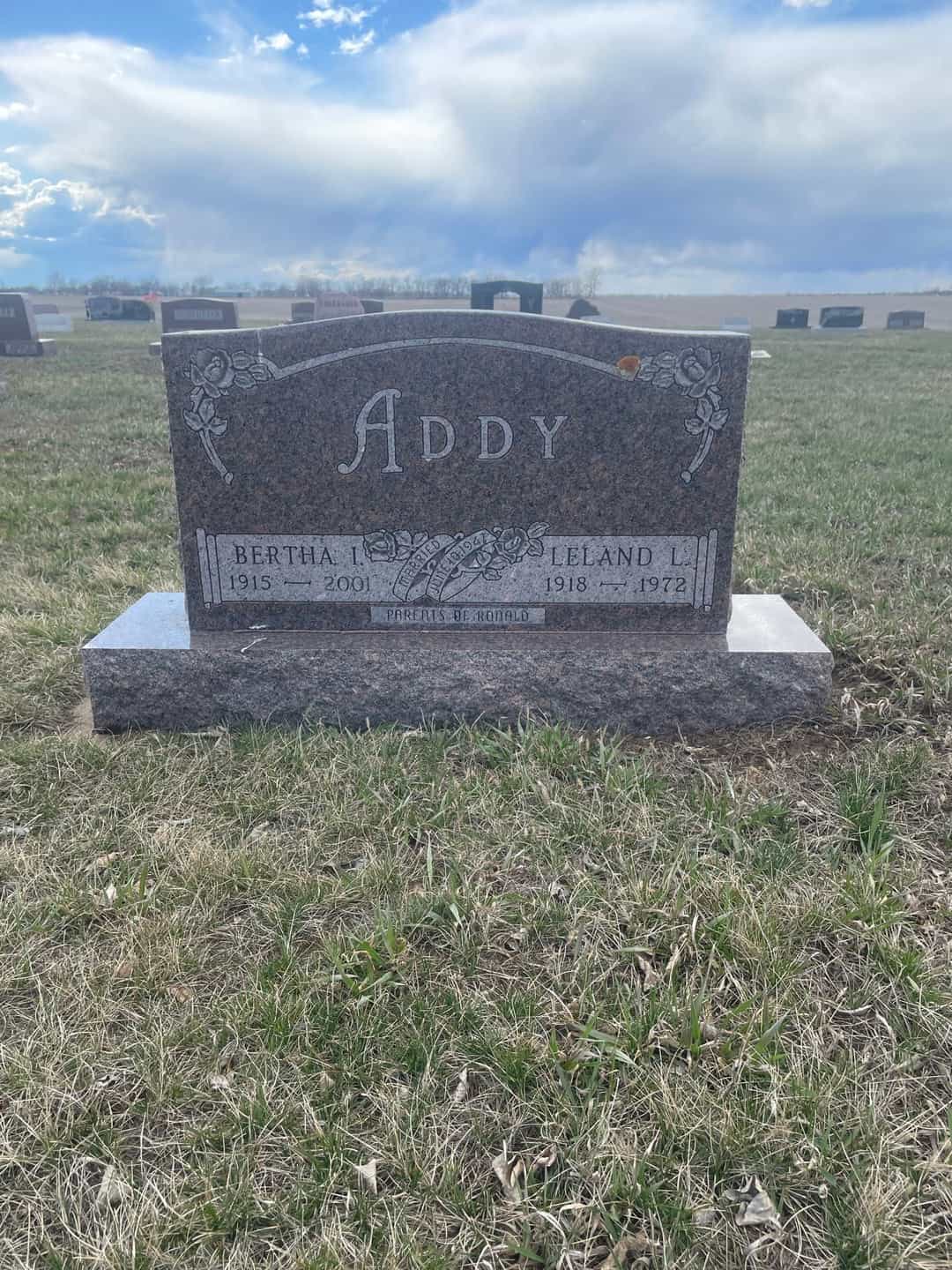 Levi Andrew Addy's grave. Photo 1