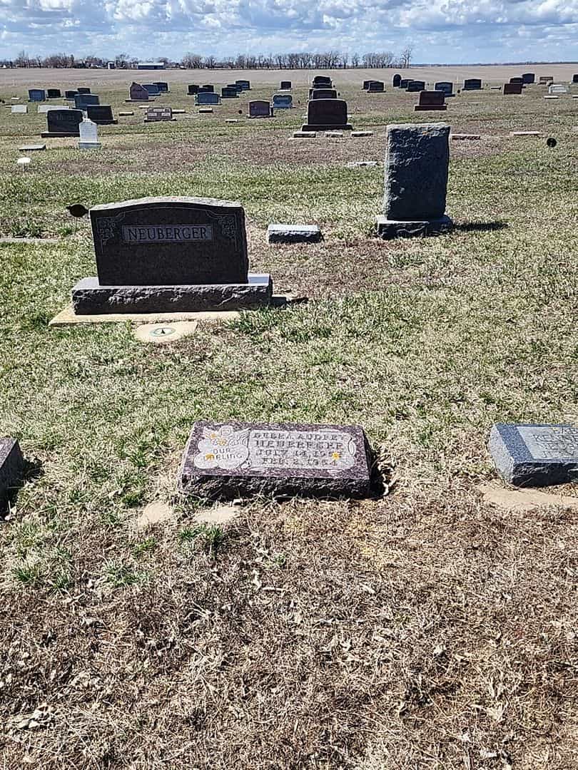 Debra Audrey Neuberger's grave. Photo 2