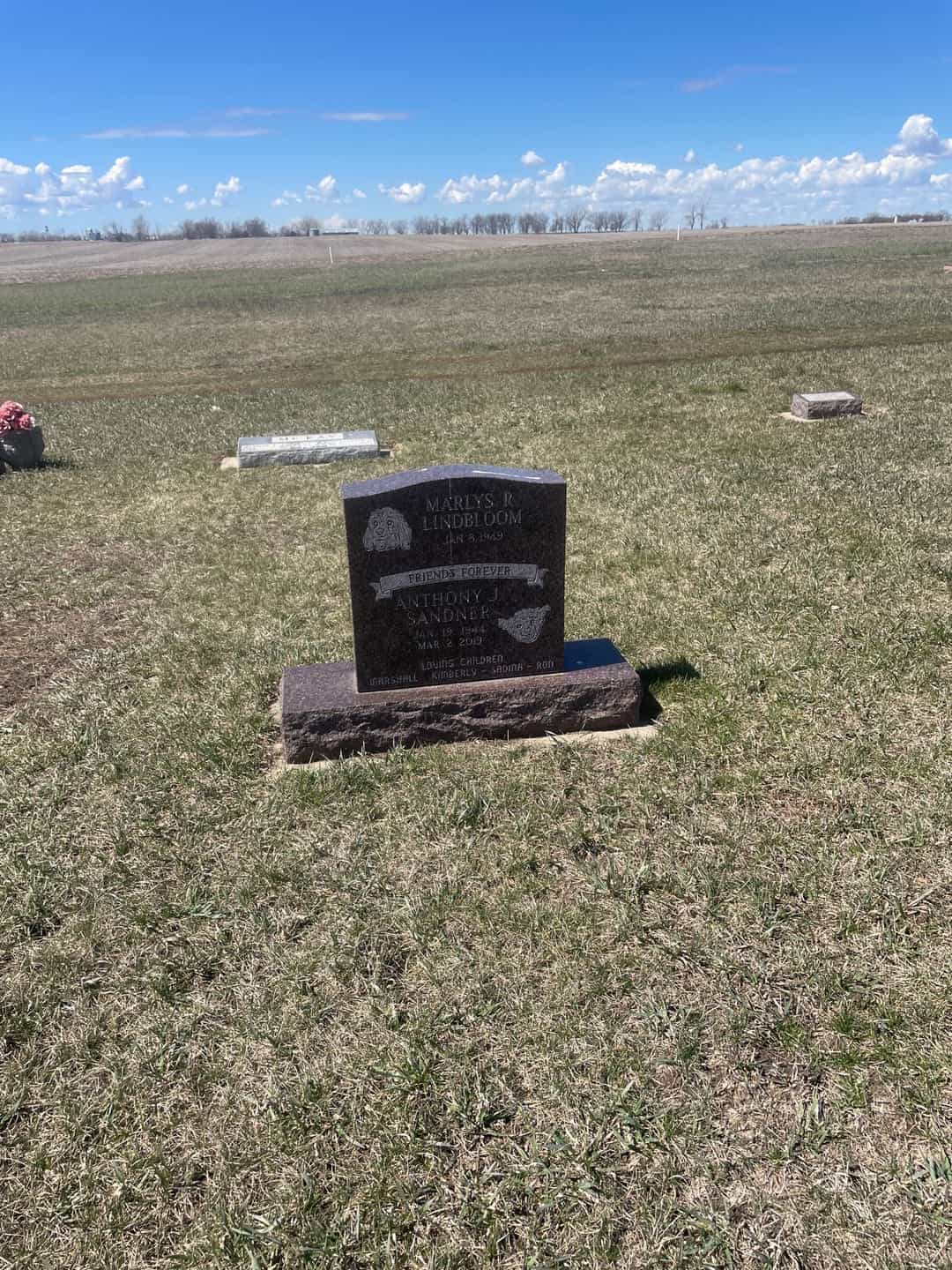Anthony J. Sandner's grave. Photo 2