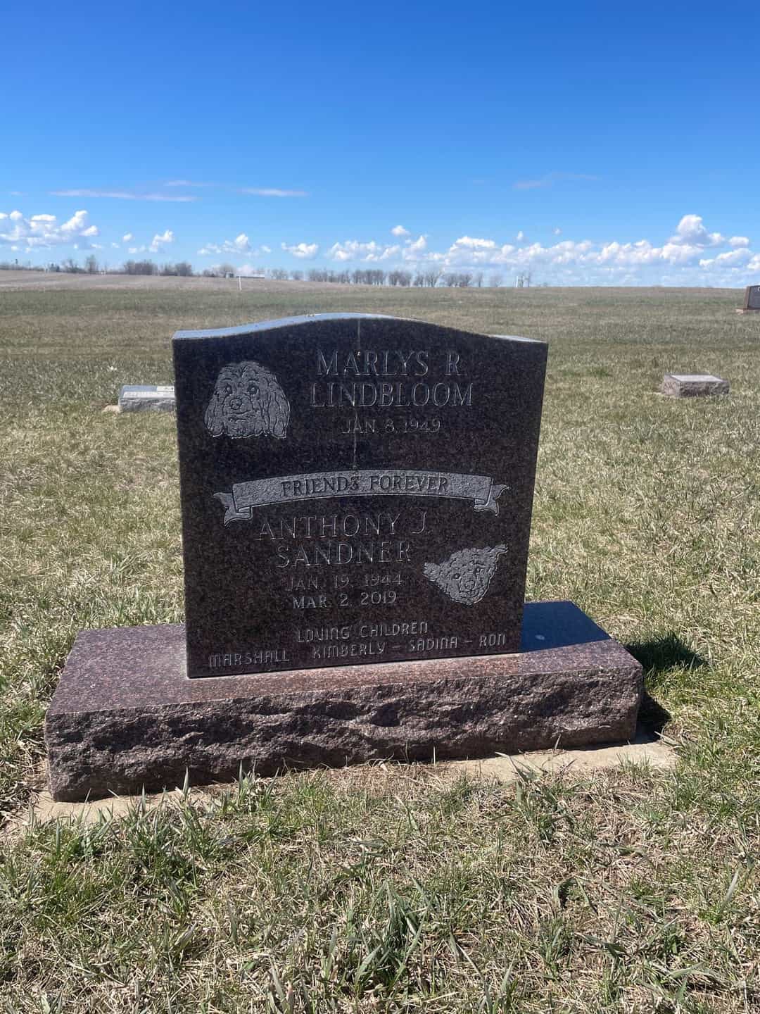 Anthony J. Sandner's grave. Photo 1