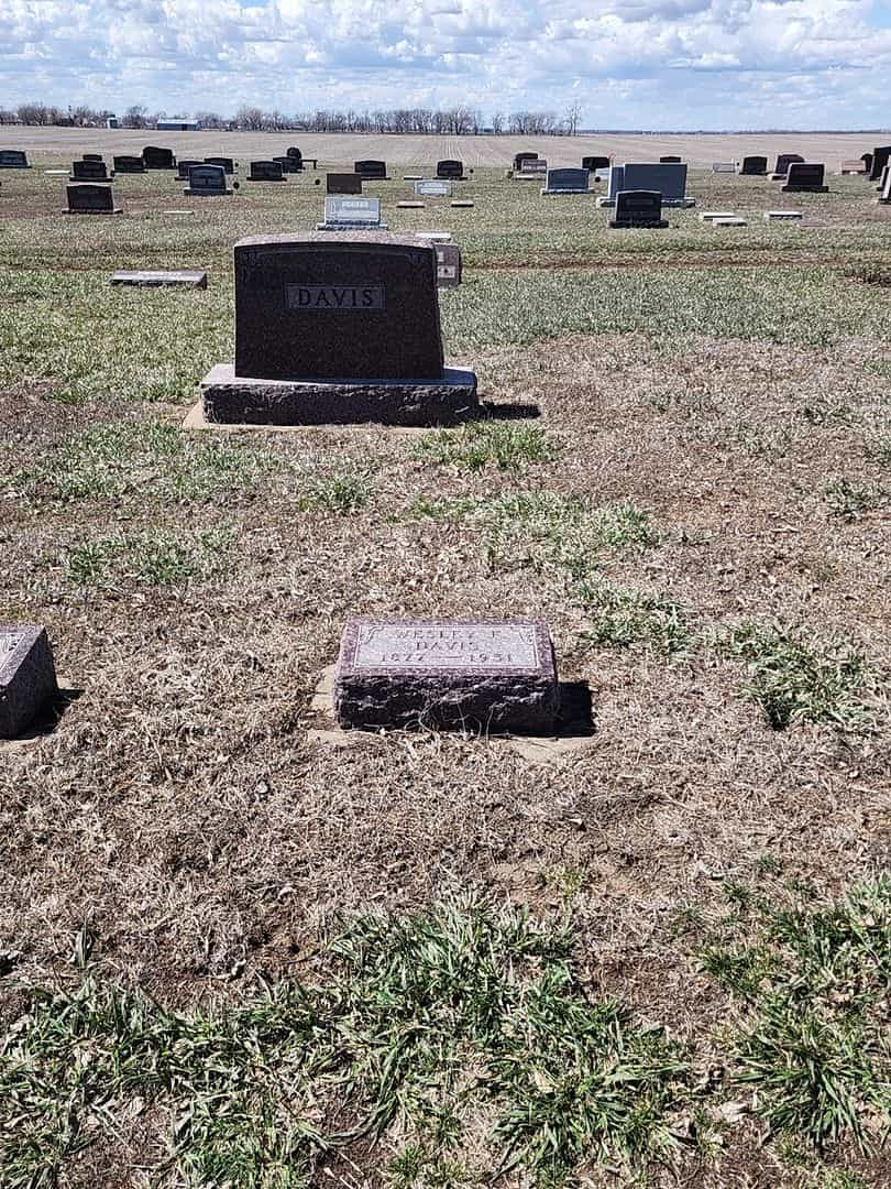 Wesley F. Davis's grave. Photo 2