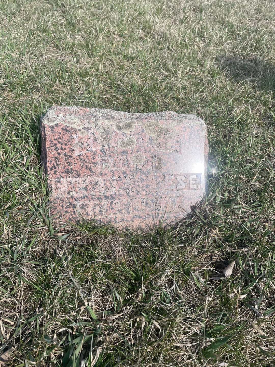 Bertha R. Scarlett's grave. Photo 3
