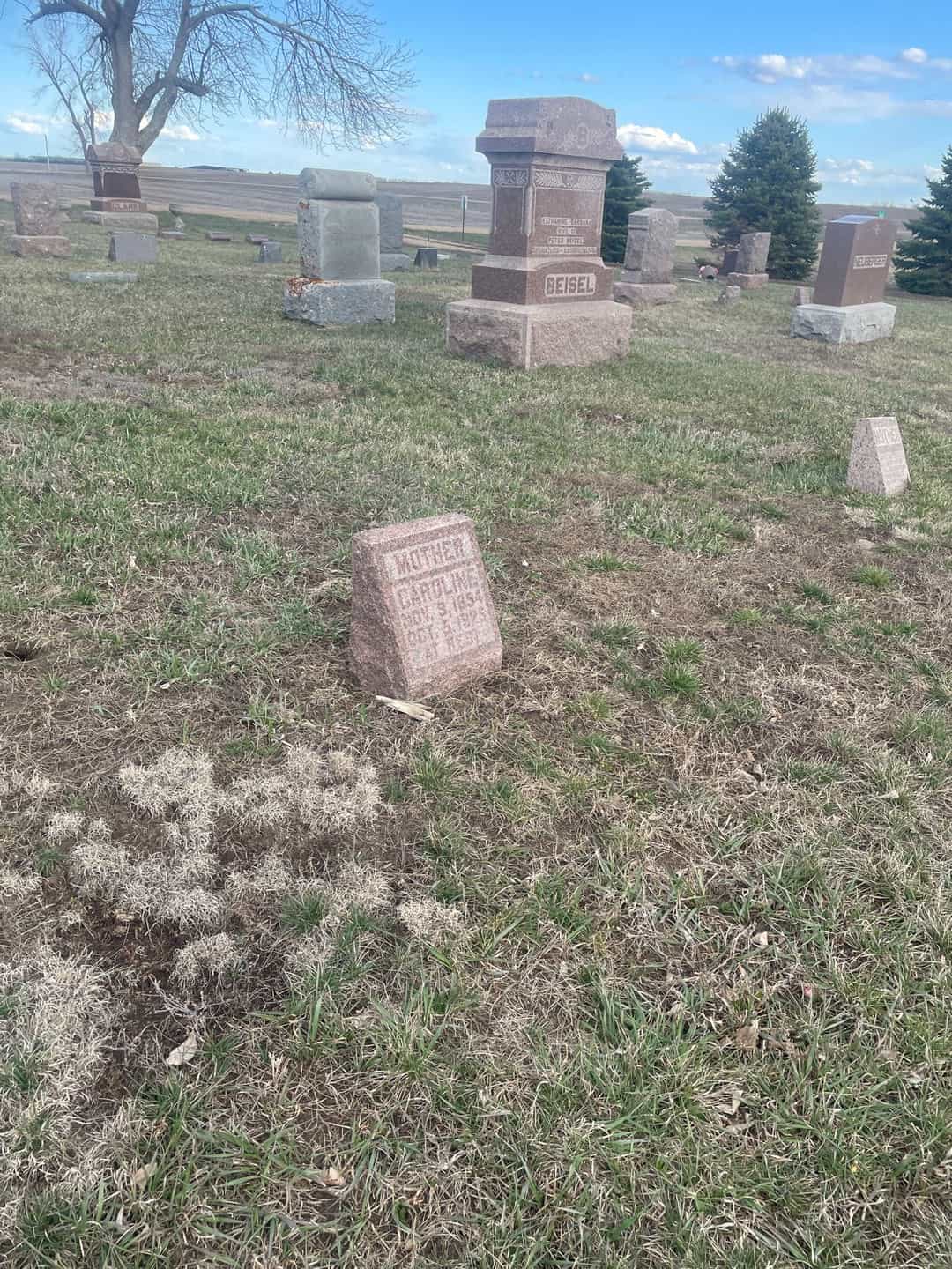 Caroline Reinhardt Beisel Schlueter's grave. Photo 2