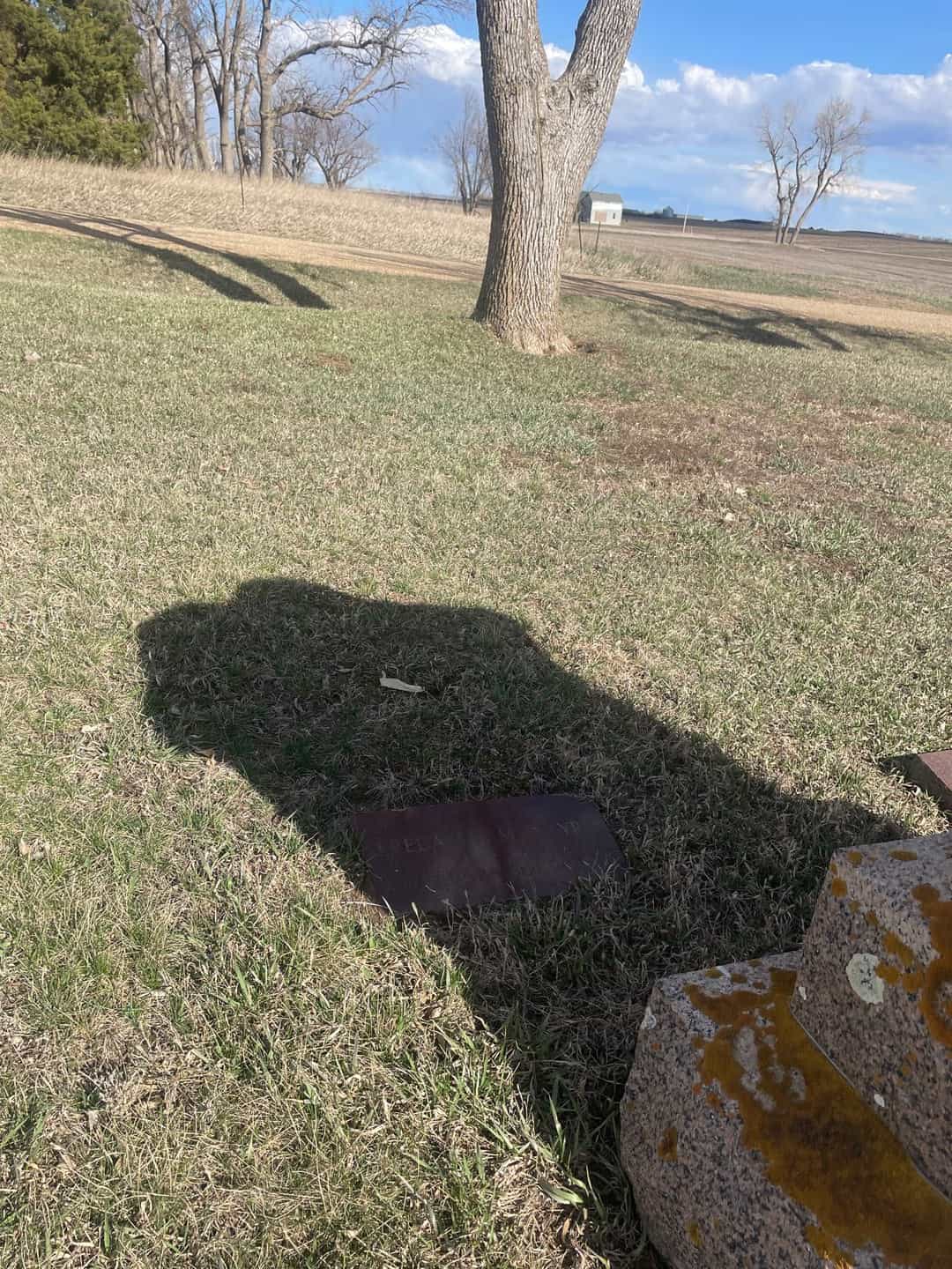 Freda L. C. Larick McIntyre's grave. Photo 2
