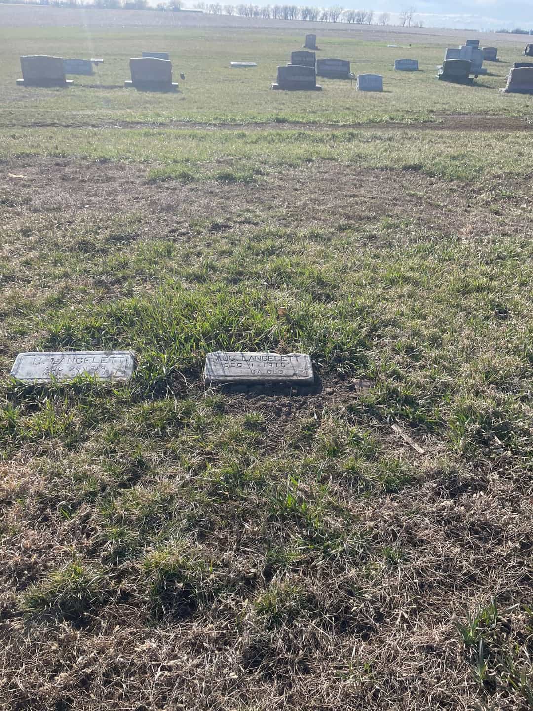 August Langelett's grave. Photo 2