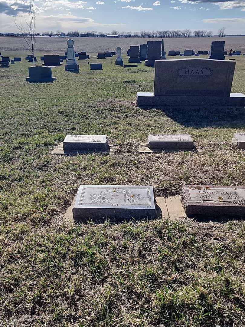 Edward Haas's grave. Photo 2