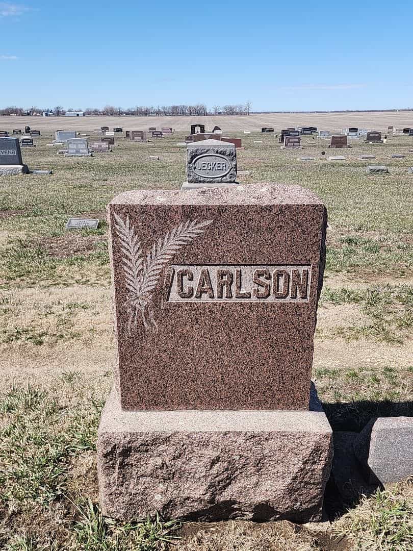 Albin Carlson's grave. Photo 1
