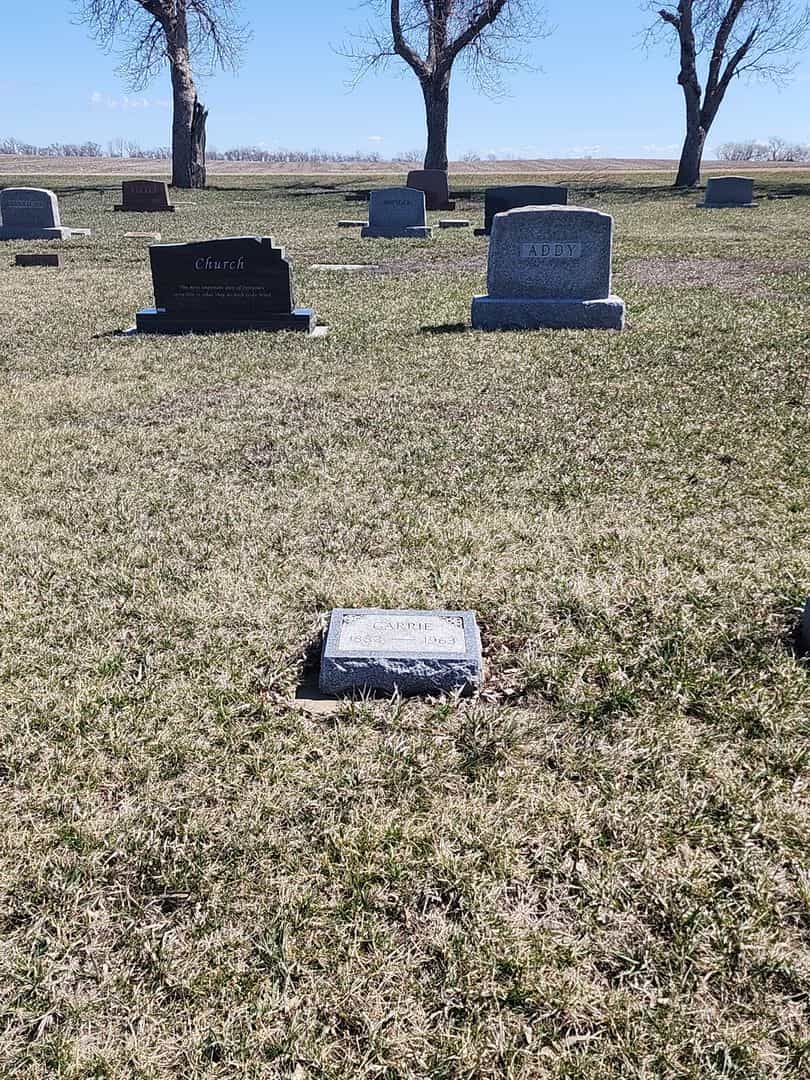 Carrie Scott Lingle Addy's grave. Photo 2