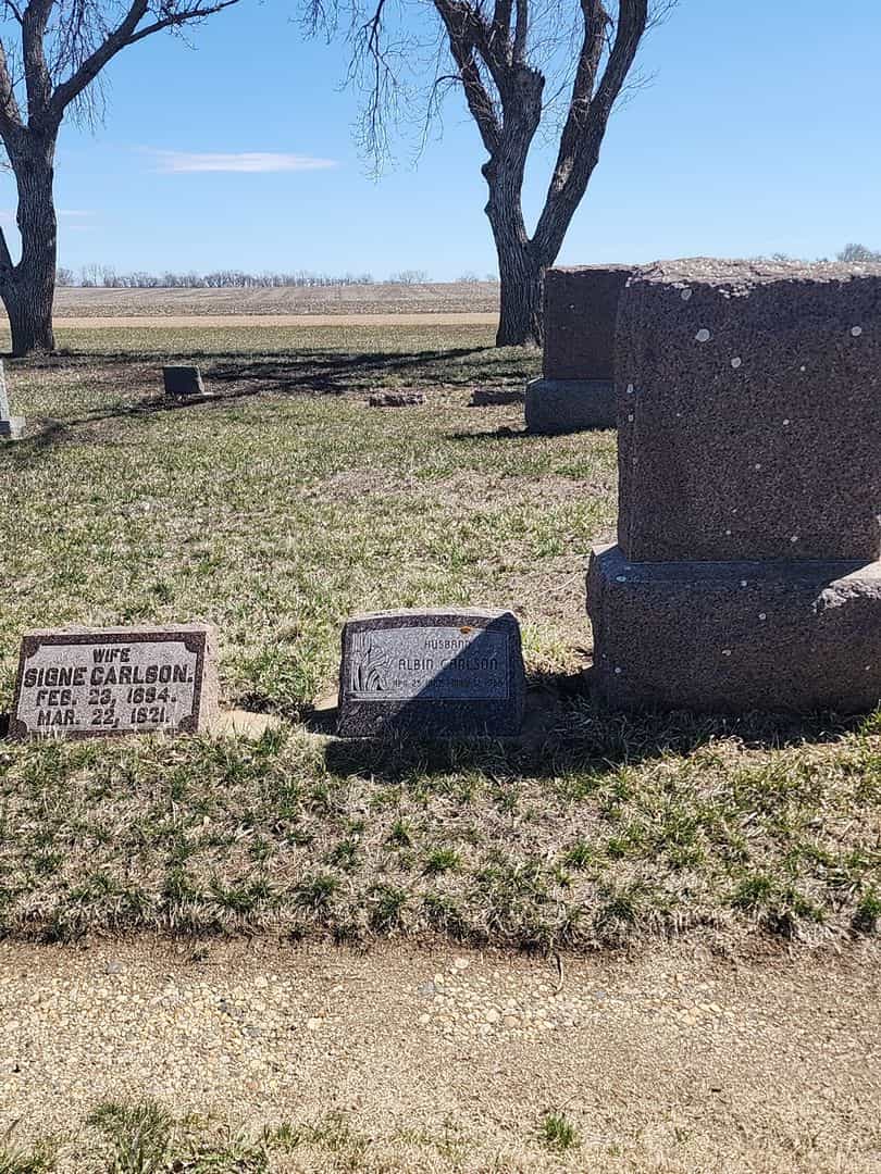 Albin Carlson's grave. Photo 2