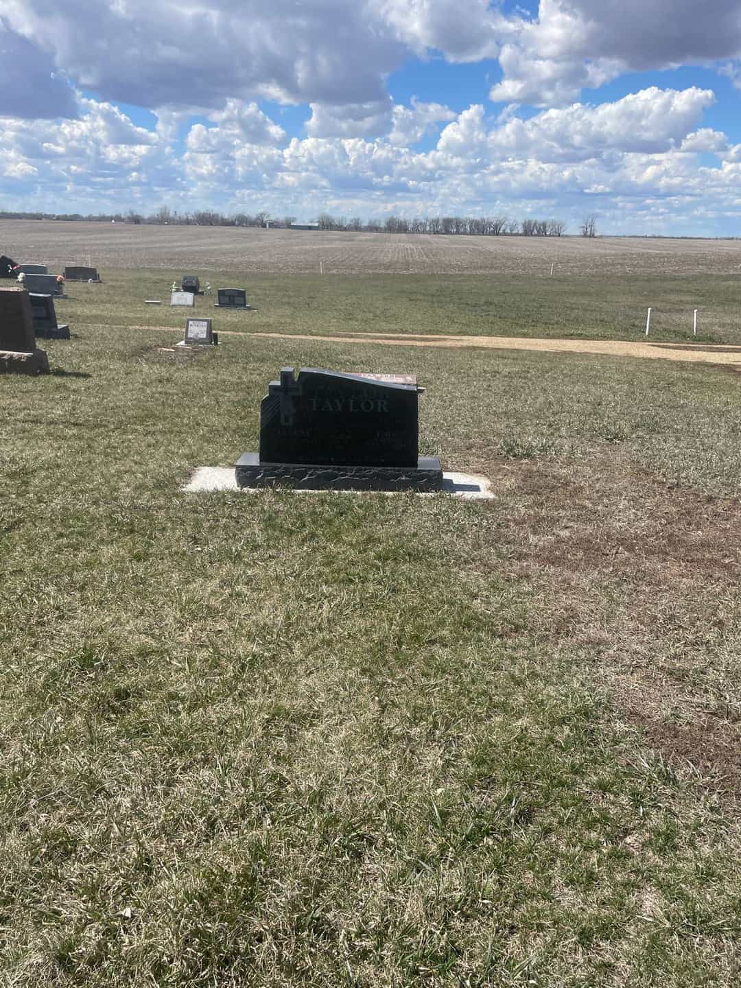 Eugene Taylor's grave. Photo 2