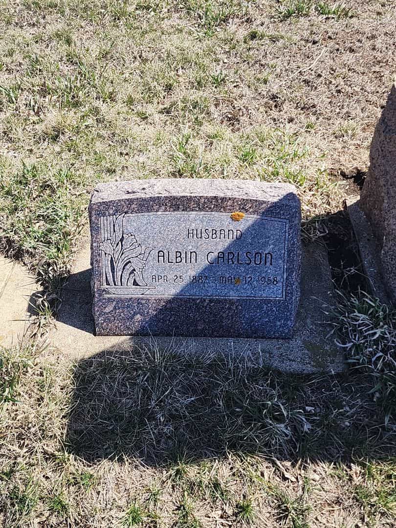 Albin Carlson's grave. Photo 3