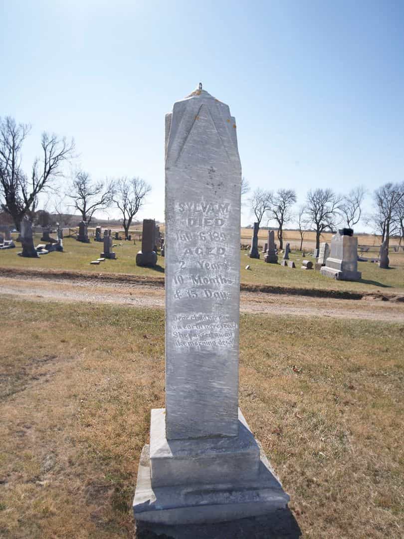 Sylvia M. VanEaton's grave. Photo 1