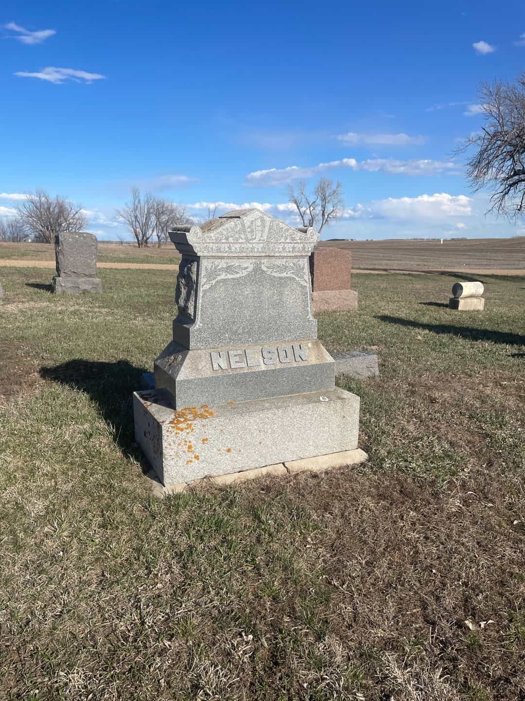 Peter Nelson's grave. Photo 1