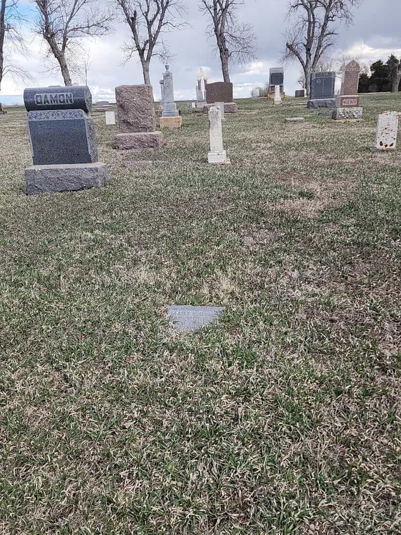 Mary E. Damon's grave. Photo 2