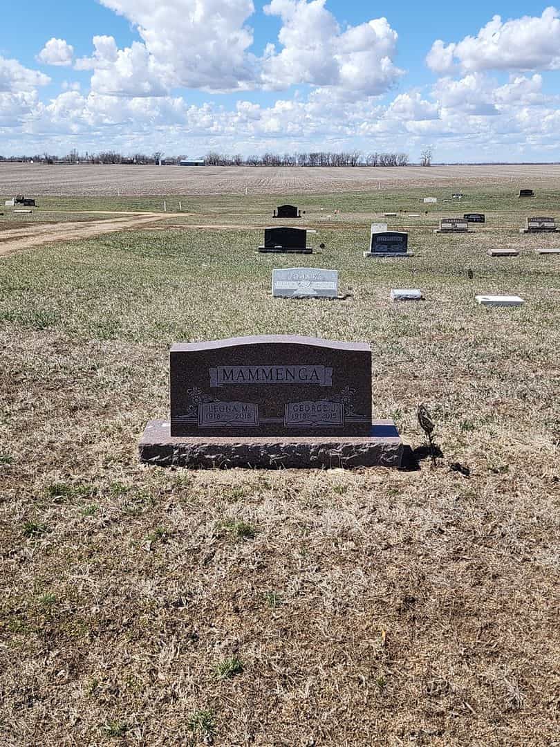 Leona M. Mammenga's grave. Photo 2