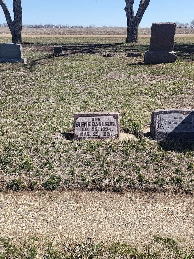 Signe Carlson's grave. Photo 2