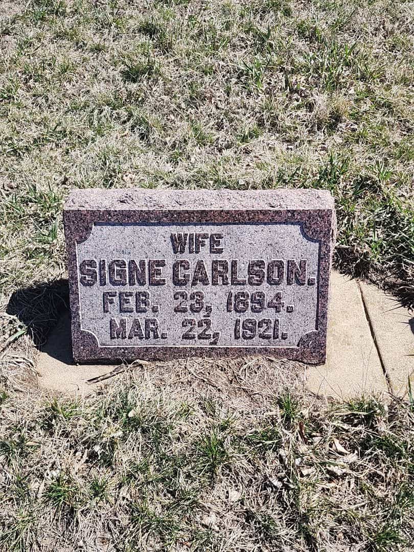 Signe Carlson's grave. Photo 3