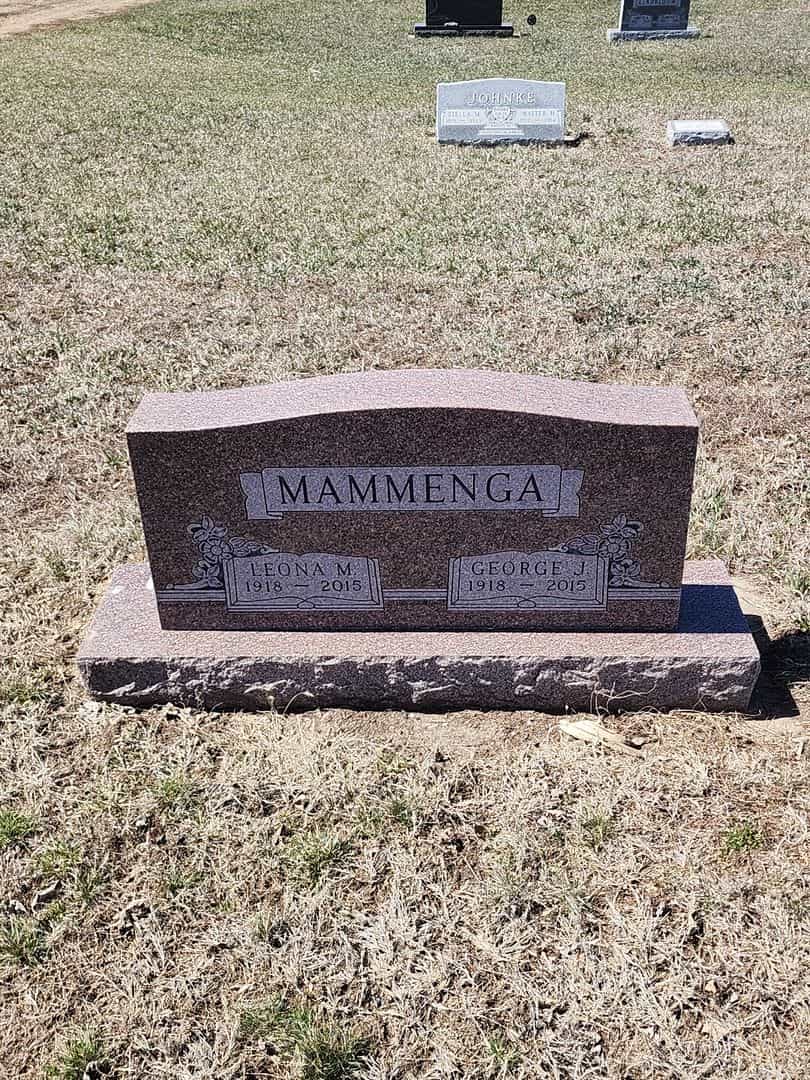 Leona M. Mammenga's grave. Photo 1