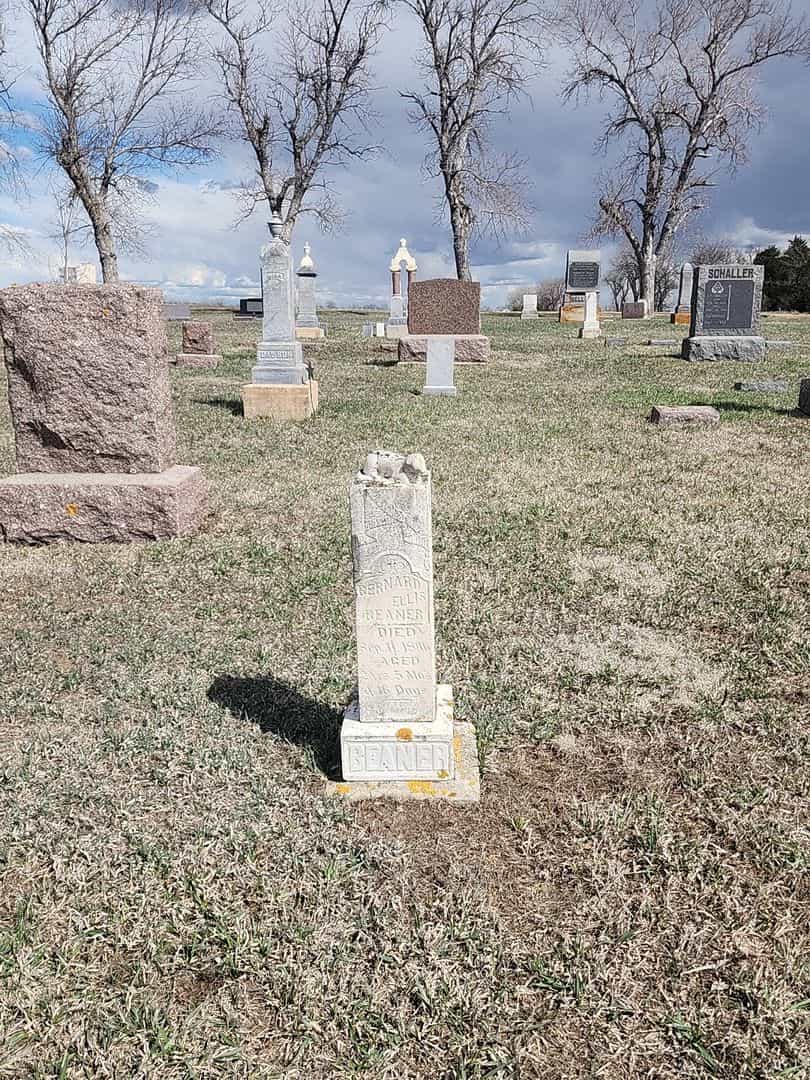 Bernard Ellis Beaner's grave. Photo 2