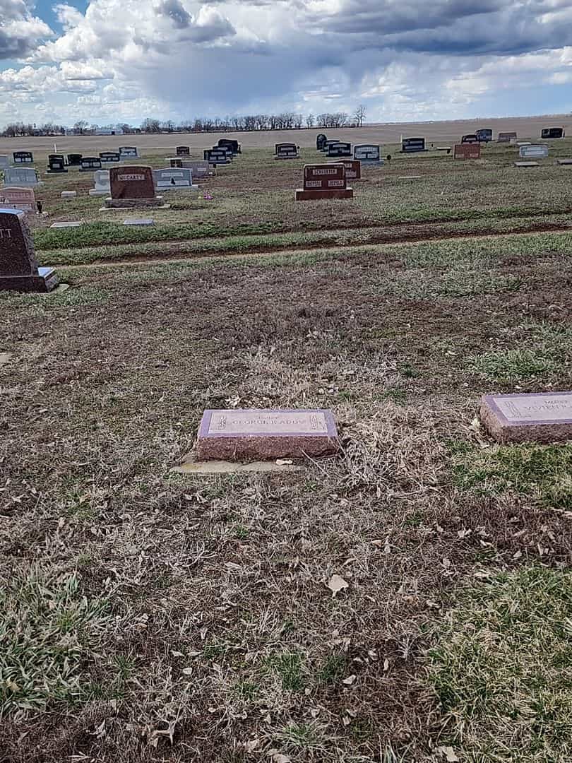 George Knox Addy's grave. Photo 2