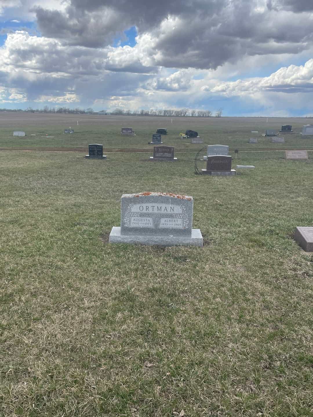 Albert S. Ortman's grave. Photo 2