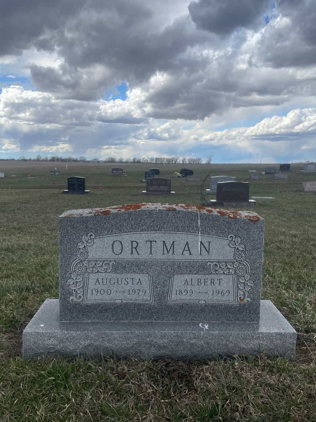 Albert S. Ortman's grave. Photo 1