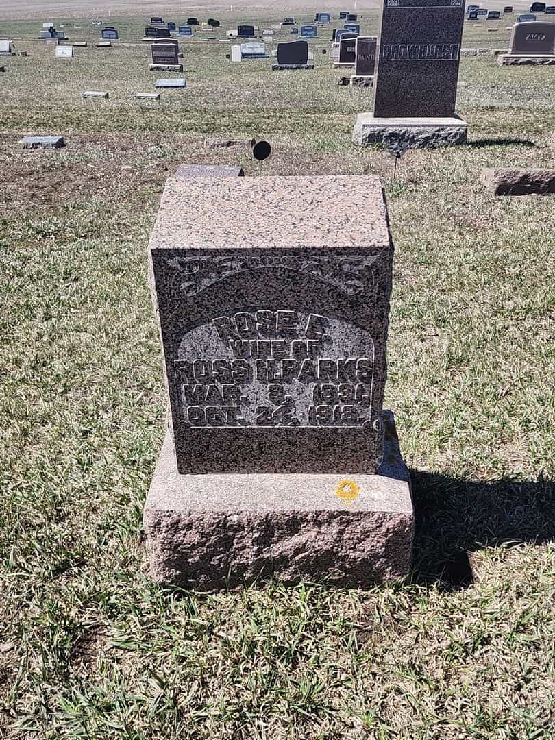 Rose E. Parks's grave. Photo 1