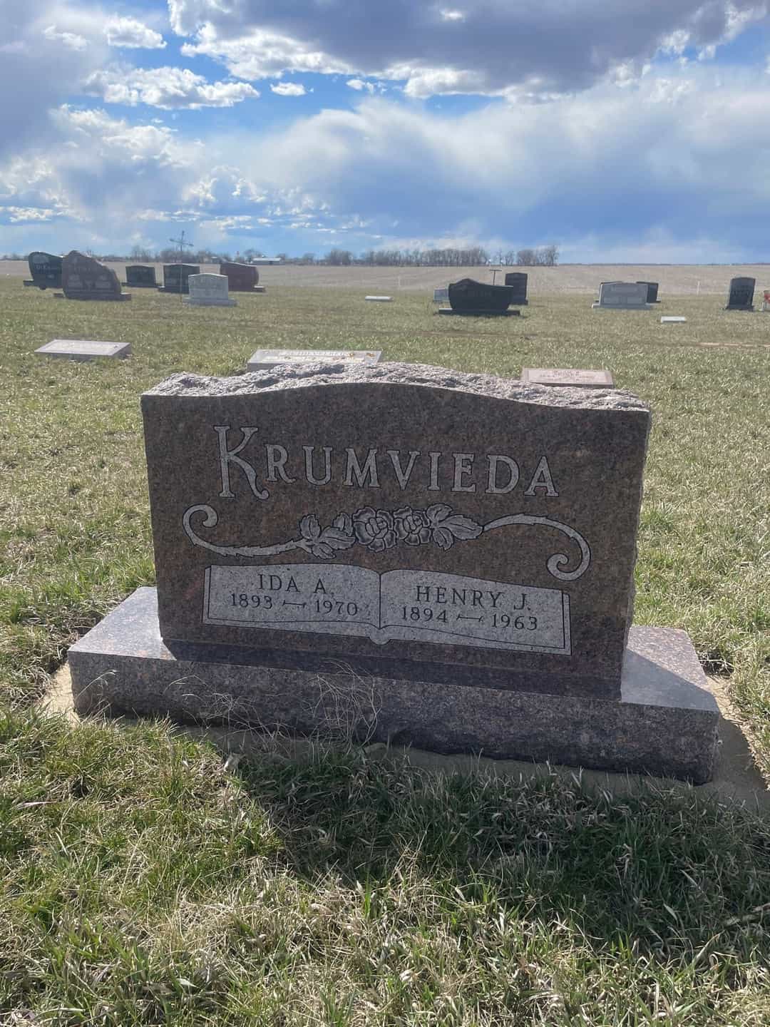 Ida Ann VanWoert Krumvieda's grave. Photo 1