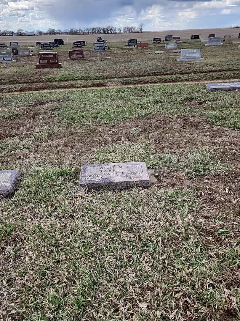 William J. Tarrell's grave. Photo 2