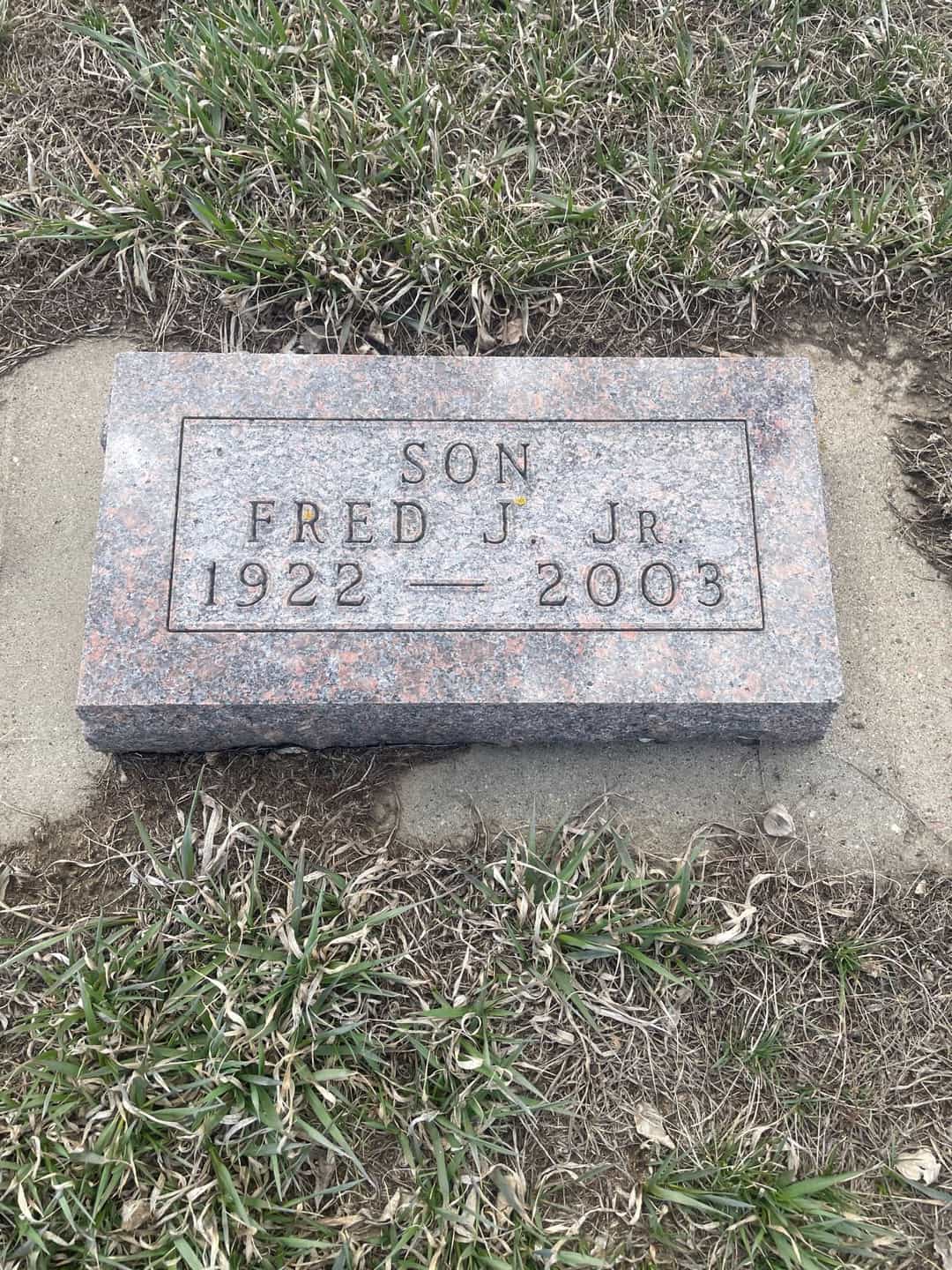 Fred J. Nelson Junior's grave. Photo 3