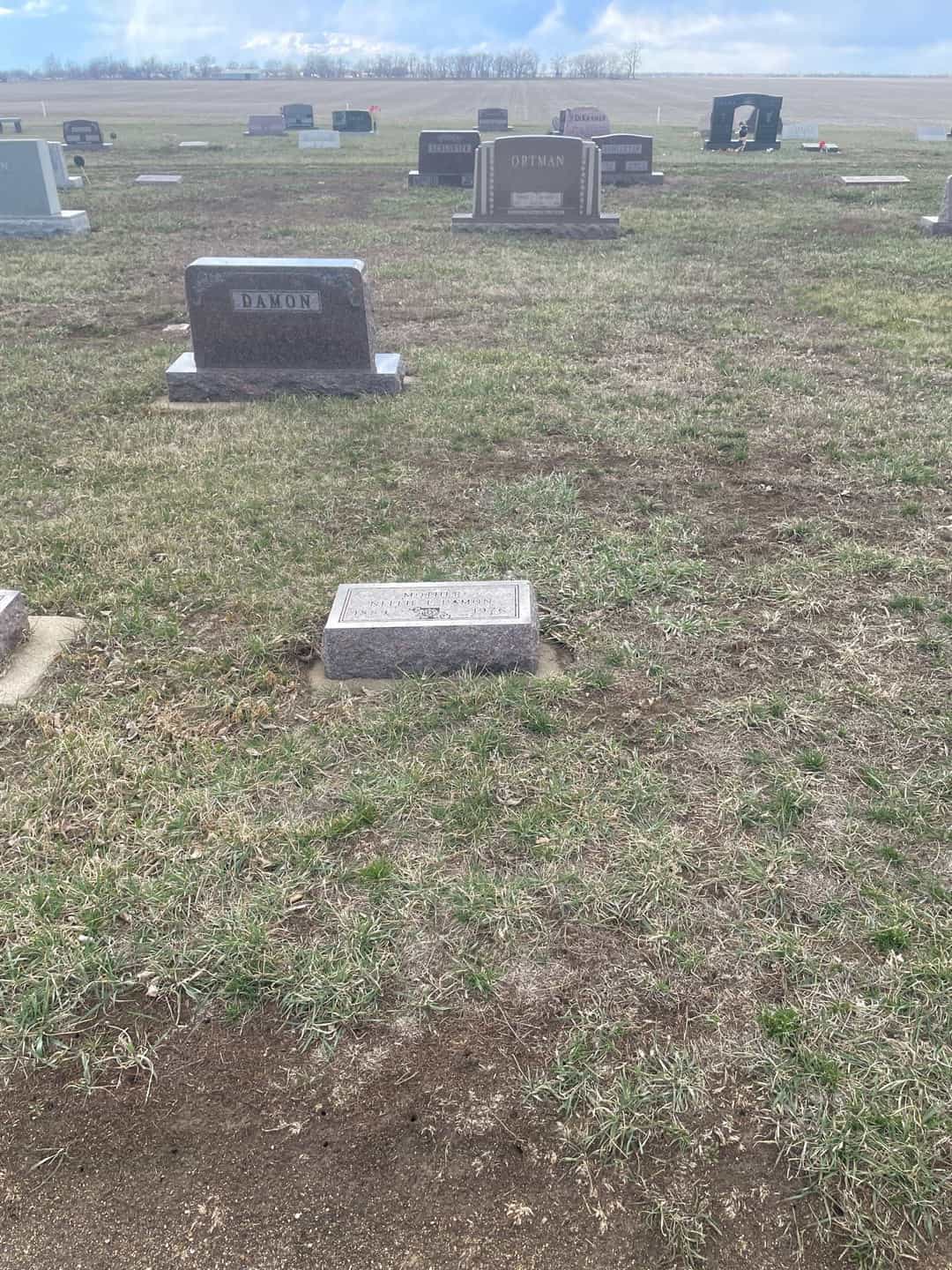 Nellie L. Damon's grave. Photo 2