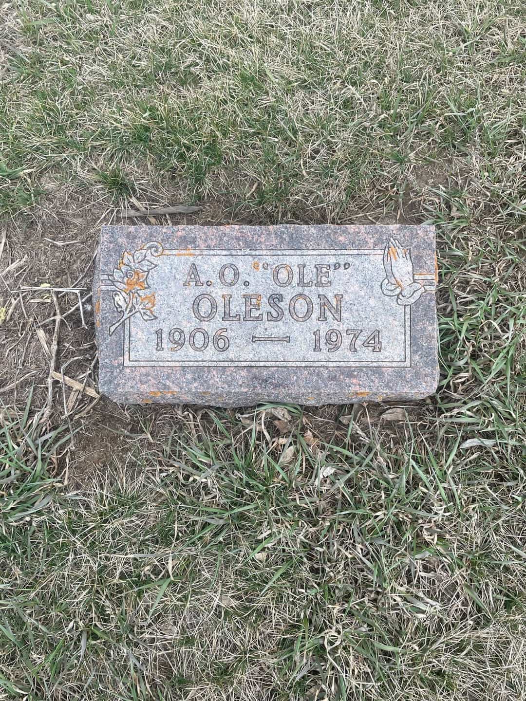 Arthur O. "Ole" Oleson's grave. Photo 1